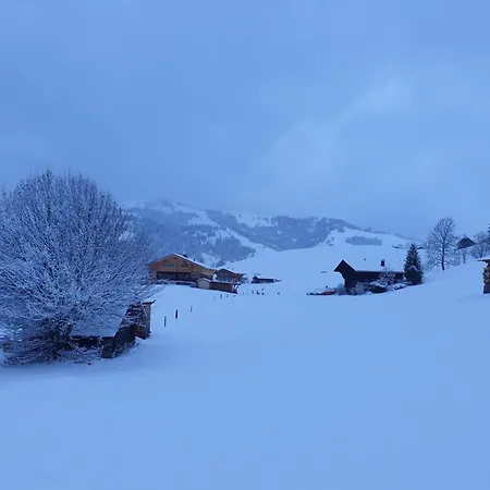 Aerneli- By Interhome Gstaad