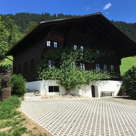 Aerneli- By Interhome Apartment Gstaad