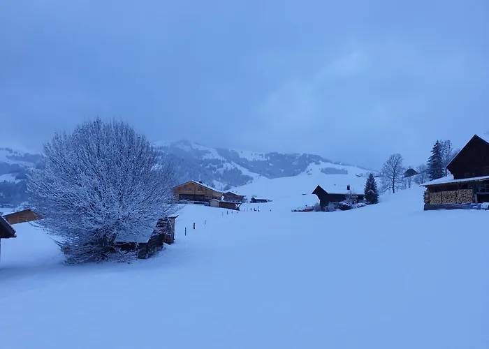 Aerneli- By Interhome Gstaad