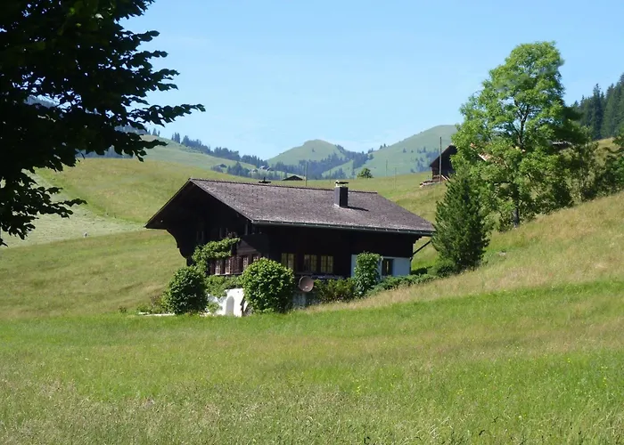 Aerneli- By Interhome Daire Gstaad