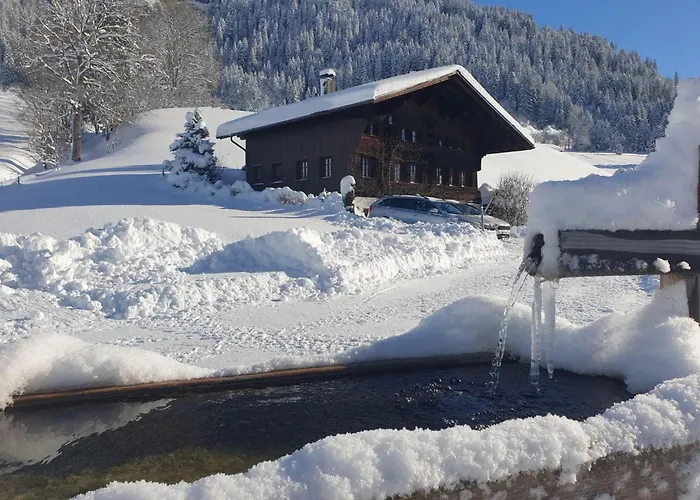 Aerneli- By Interhome Daire *