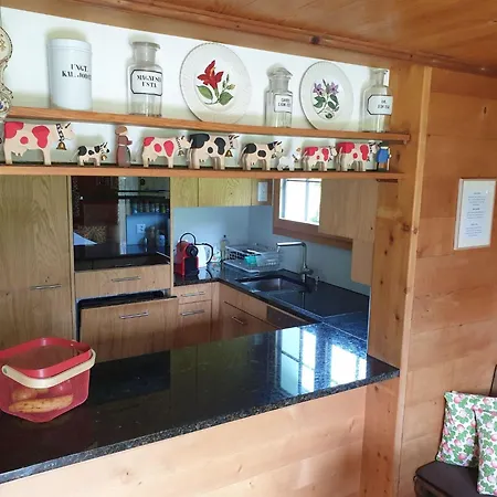 Aerneli- By Interhome Γκστάαντ