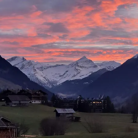 Aerneli- By Interhome Apartment Gstaad