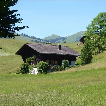Aerneli- By Interhome Apartment Gstaad