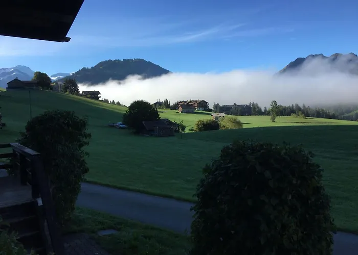 Aerneli- By Interhome Apartment