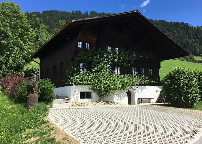 Aerneli- By Interhome Apartment Gstaad